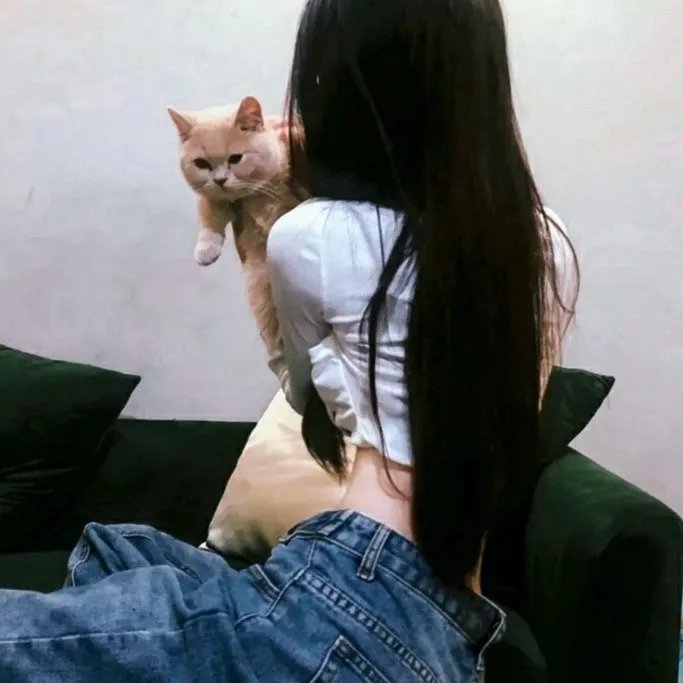 隋唐英雄